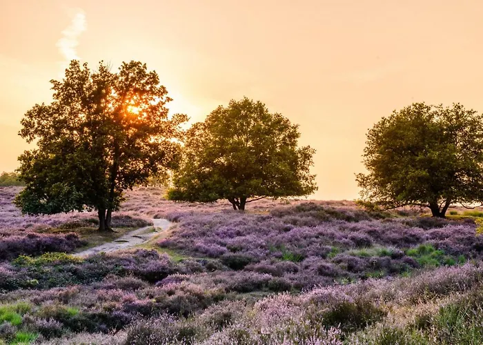 Vakantie Bij Meeussen - Schuttersoord